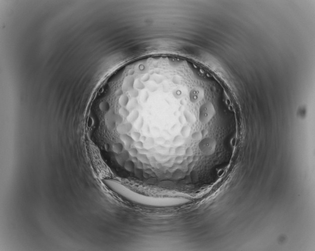 X0000097991145200804071144