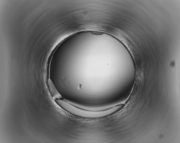 X0000097991147200804071144