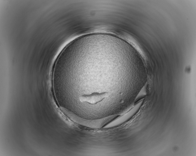 X0000097991148200804071144