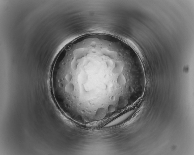 X0000097991149200804071144