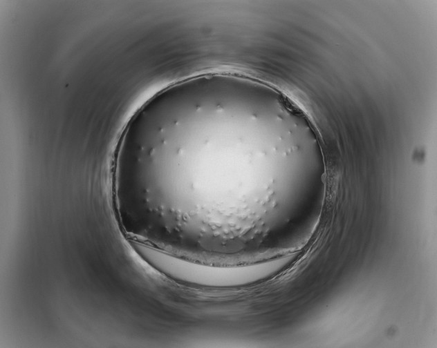 X0000097991151200804071145