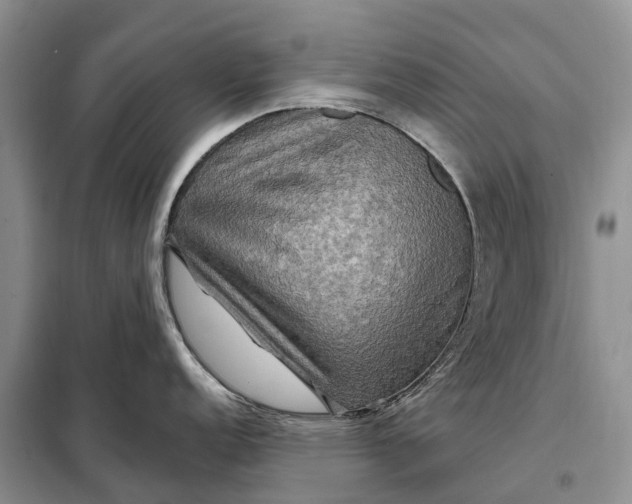X0000097991152200804071145