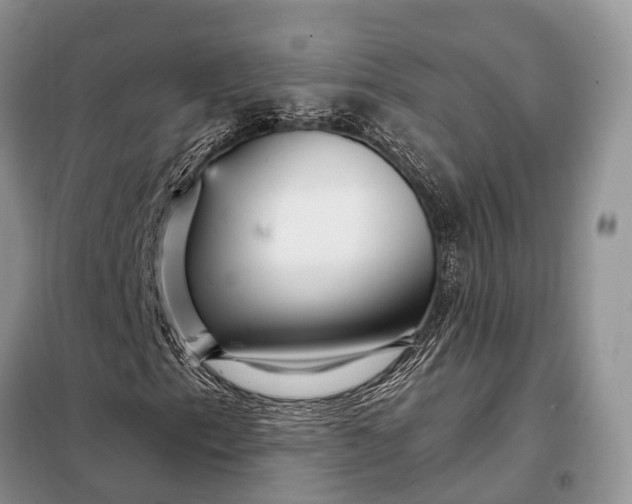 X0000097991153200804071144