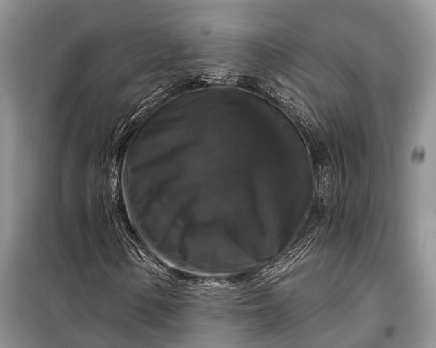 X0000097991154200804071144