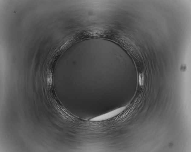 X0000097991155200804071144