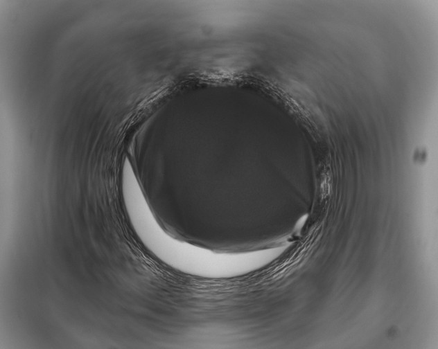 X0000097991156200804071144