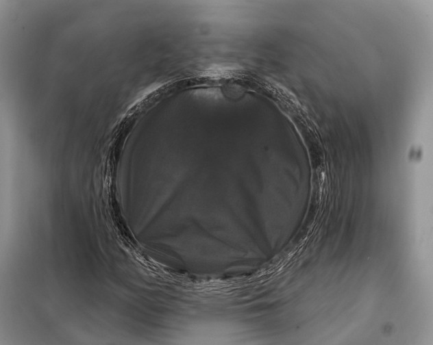 X0000097991158200804071144