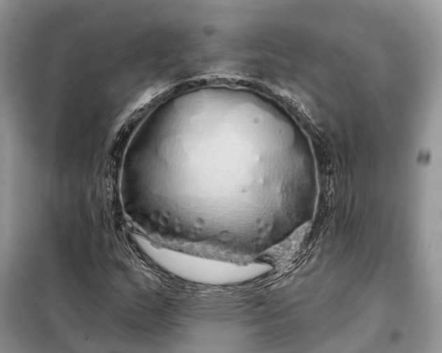 X0000097991159200804071144