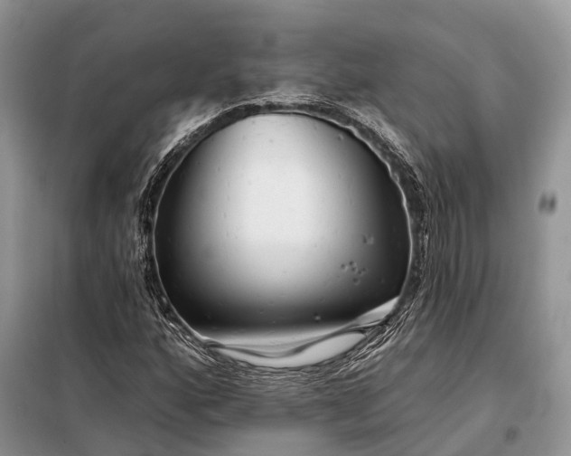 X0000097991160200804071144