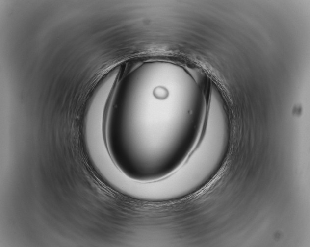 X0000097991161200804071143
