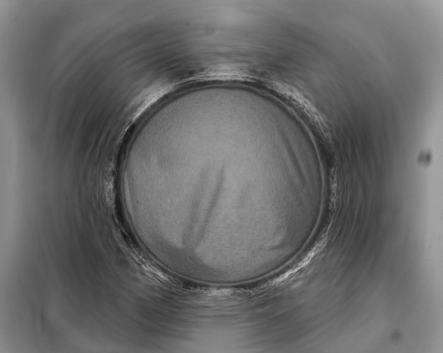 X0000097991162200804071143