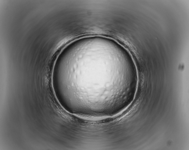 X0000097991163200804071143