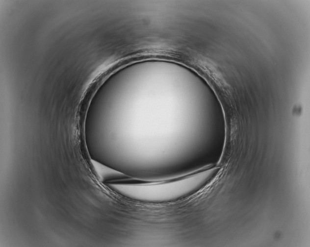X0000097991164200804071143