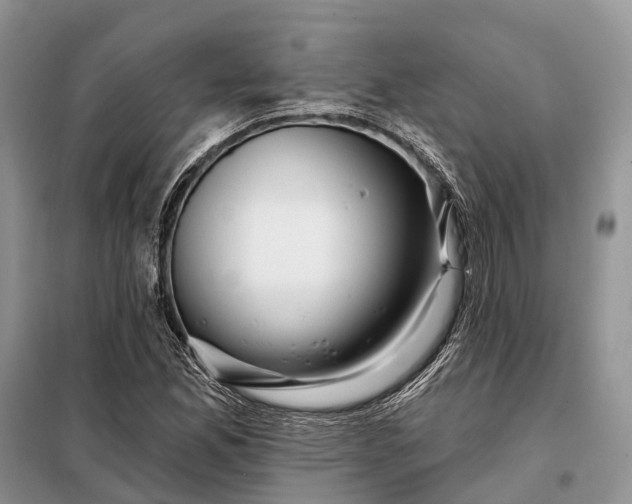 X0000097991165200804071143