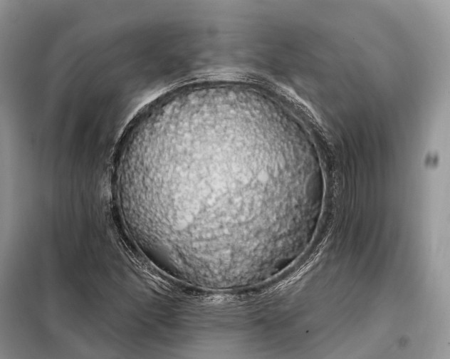 X0000097991166200804071143