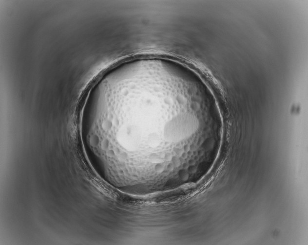 X0000097991167200804071143