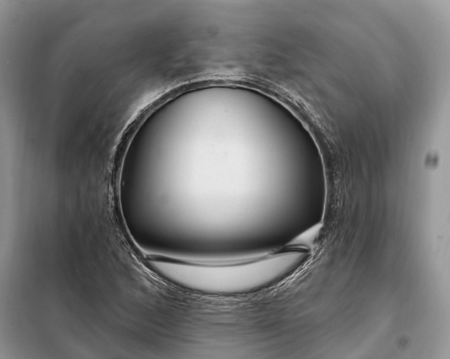 X0000097991168200804071143
