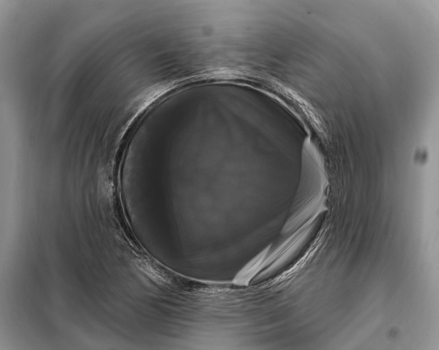 X0000097991170200804071143
