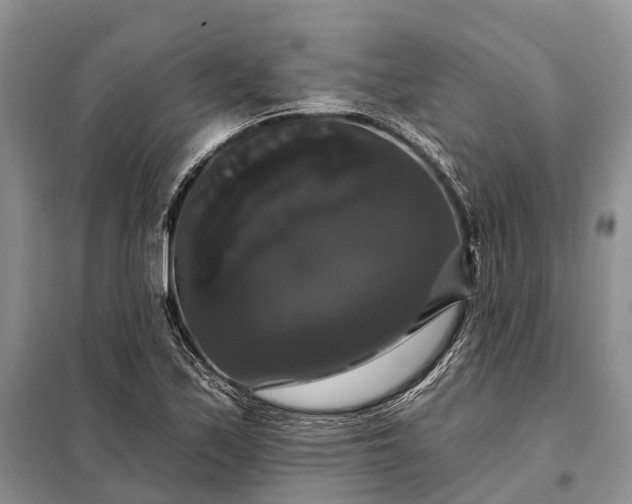 X0000097991171200804071143