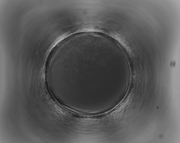 X0000097991173200804071143