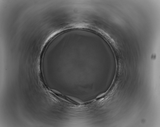 X0000097991174200804071143