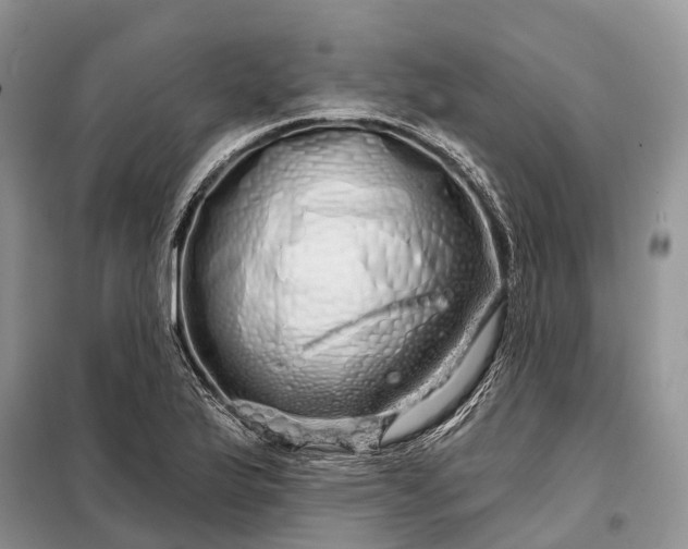 X0000097991175200804071143