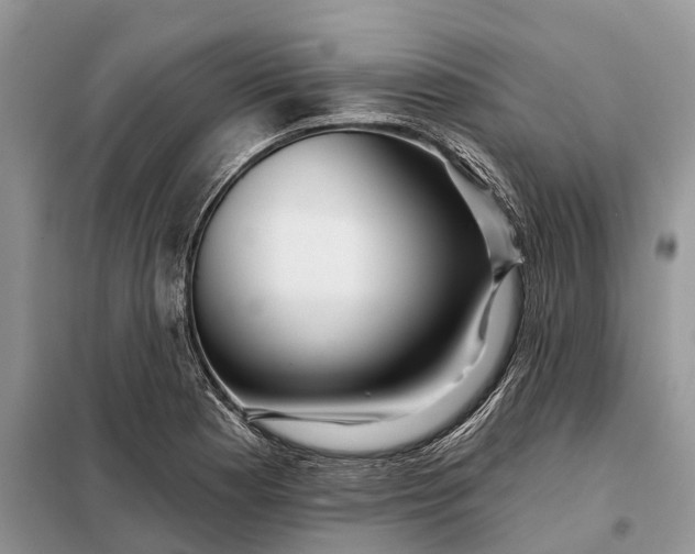 X0000097991177200804071143