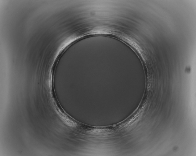 X0000097991179200804071143