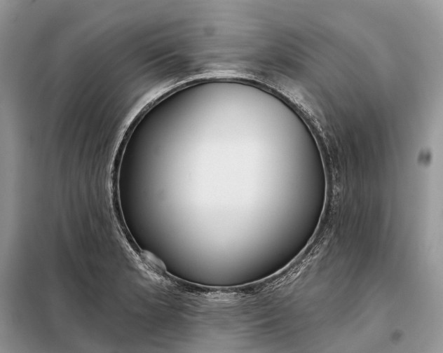 X0000097991181200804071143
