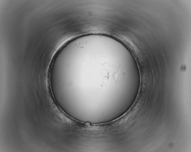 X0000097991182200804071143