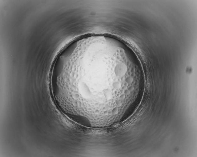 X0000097991183200804071143