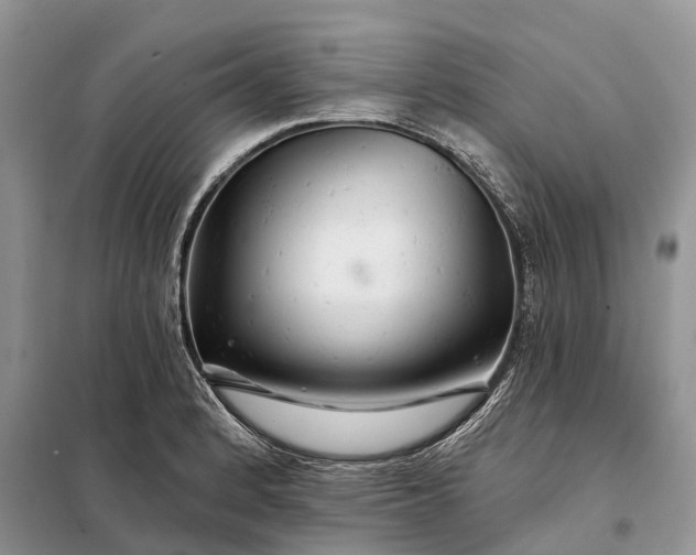 X0000097991184200804071143
