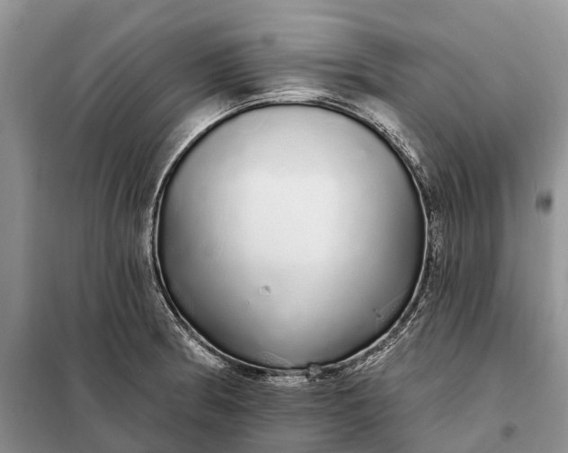 X0000097991186200804071143