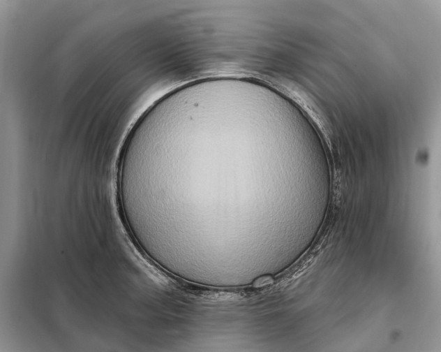 X0000097991187200804071143
