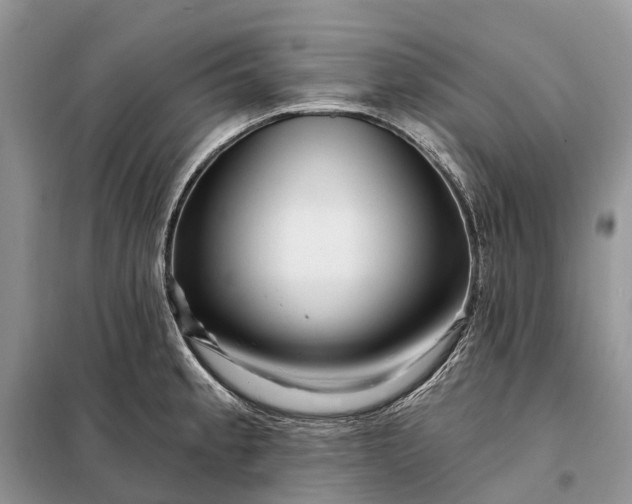 X0000097991189200804071143