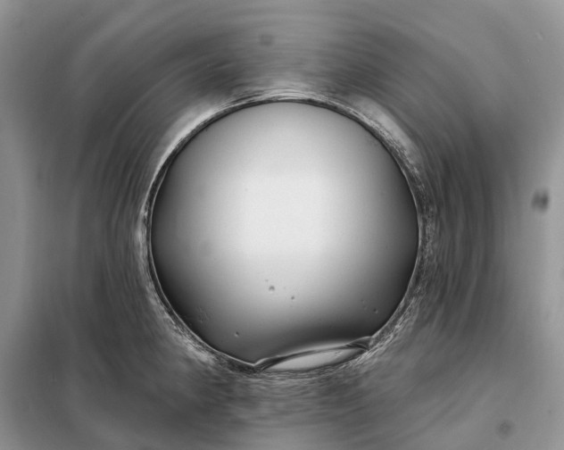 X0000097991190200804071143