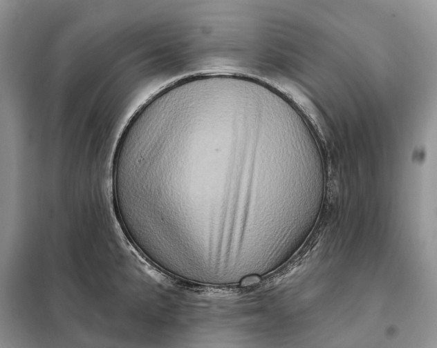 X0000097991191200804071143