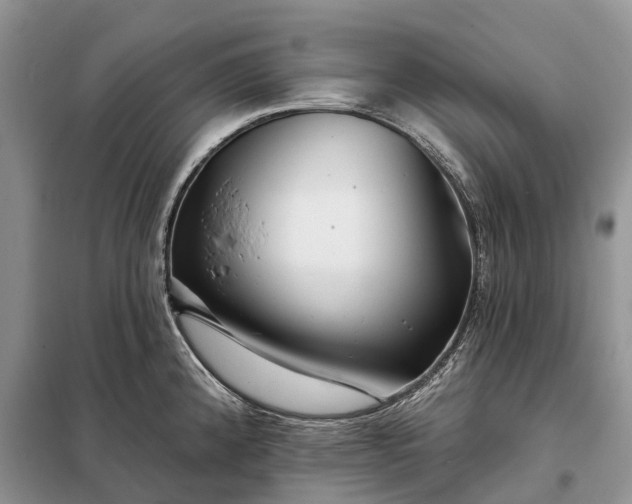 X0000097991192200804071143