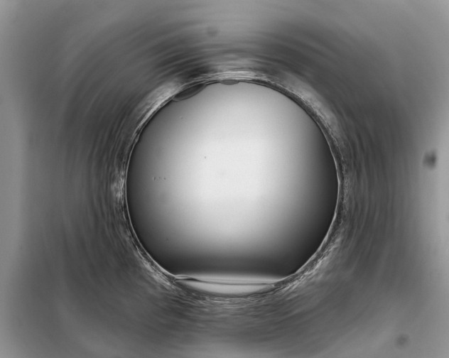 X0000097991193200804071143