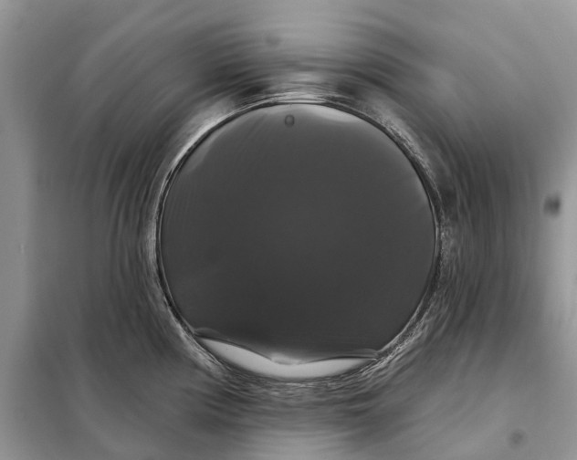 X0000097991194200804071143