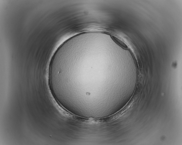 X0000097991195200804071143