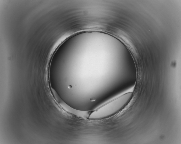 X0000097991196200804071143
