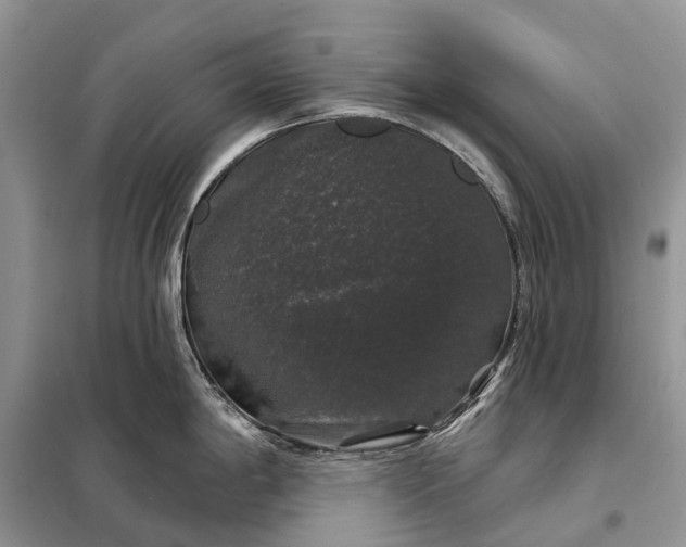 X0000097991198200804071143