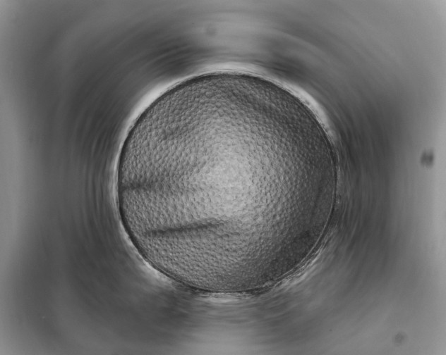 X0000097991199200804071143