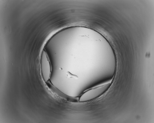 X0000097991200200804071143