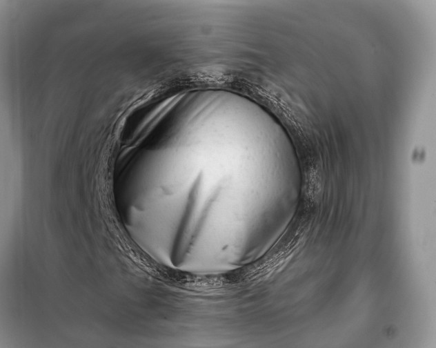 X0000097991201200804071142