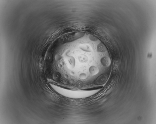 X0000097991202200804071142