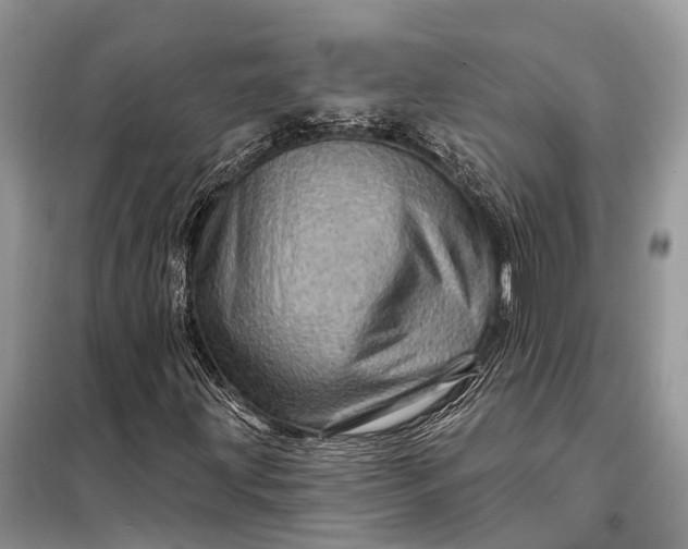 X0000097991203200804071142