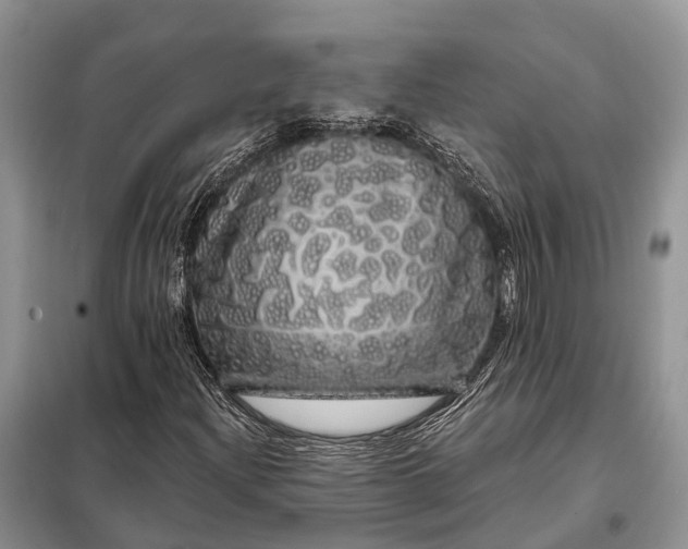 X0000097991204200804071142