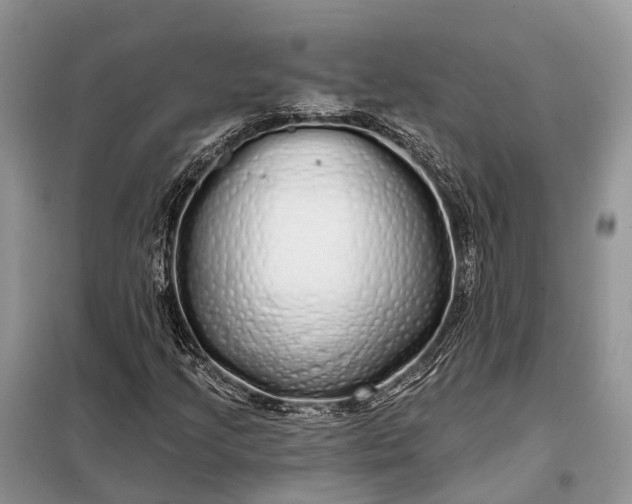 X0000097991205200804071142